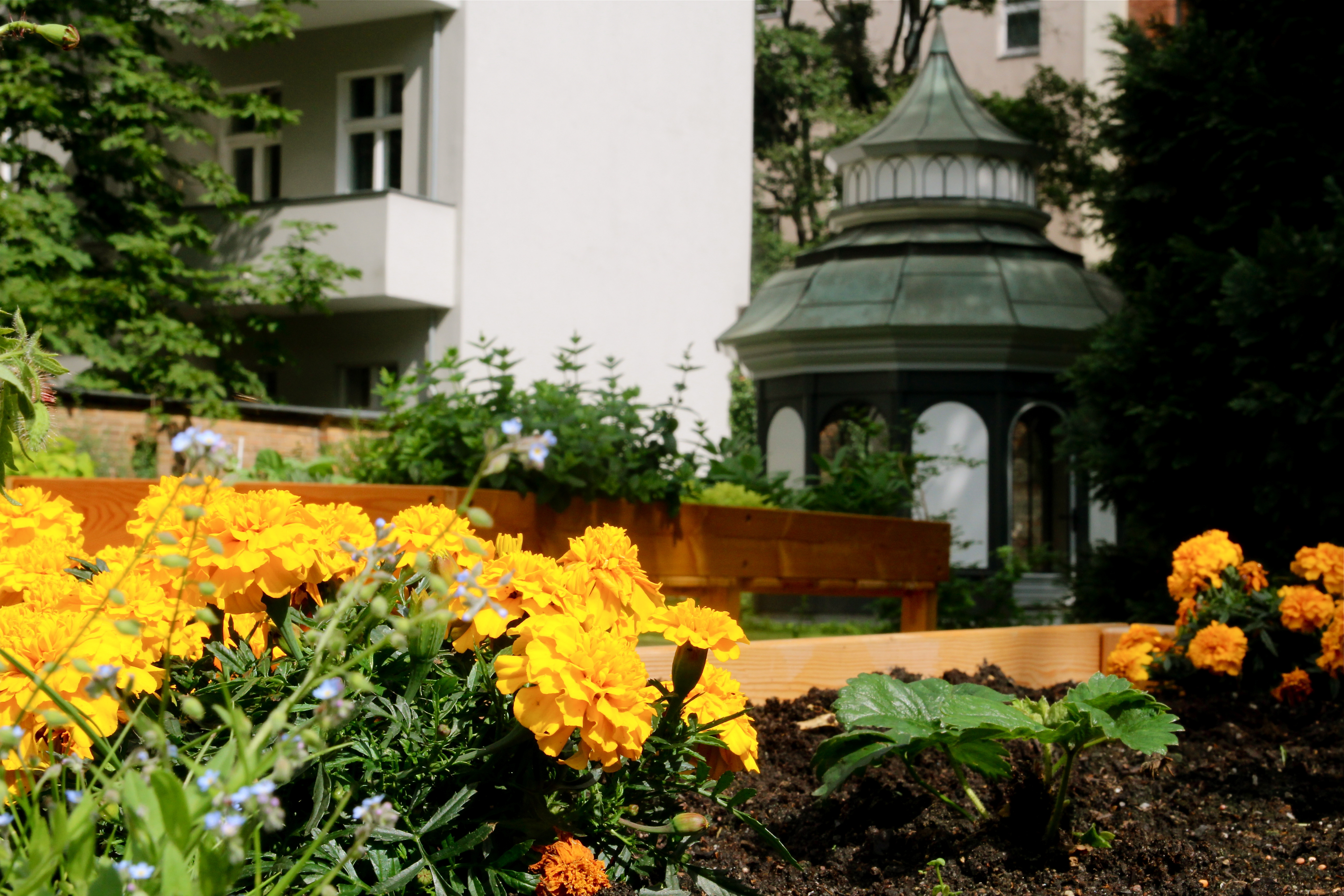 Blick auf das Brunnenhäuschen mit farbenfroh blühenden Beeten im Vordergrund.