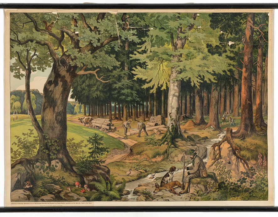 „Der Wald“, vor 1914 , Verlag J. F. Schreiber, Esslingen, 86,5 x 121 cm, Foto: Friedhelm Hoffmann , 2022.
